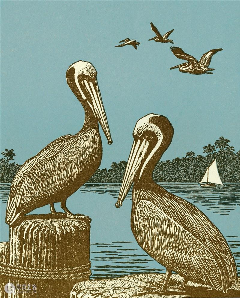 鸟界《狂飙》，鹈鹕灌顶 崇真艺客