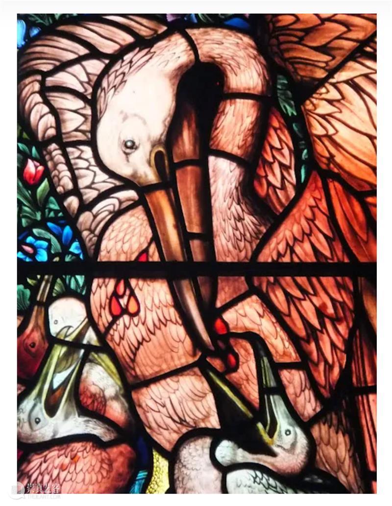 鸟界《狂飙》，鹈鹕灌顶 崇真艺客