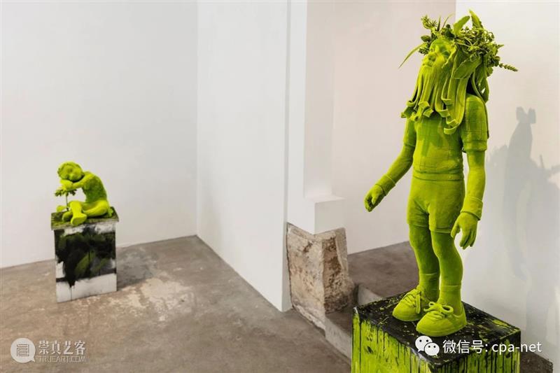 Kim Simonsson苔藓白菜人 崇真艺客