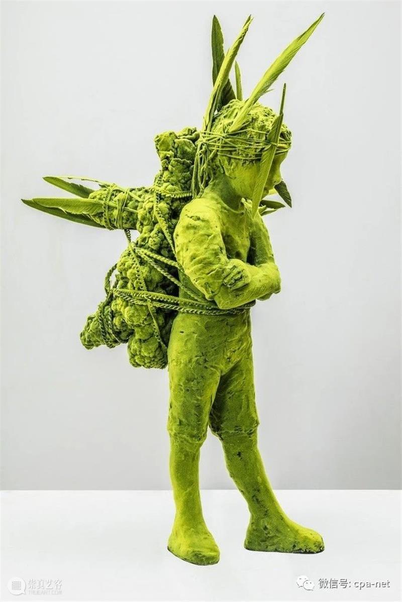 Kim Simonsson苔藓白菜人 崇真艺客