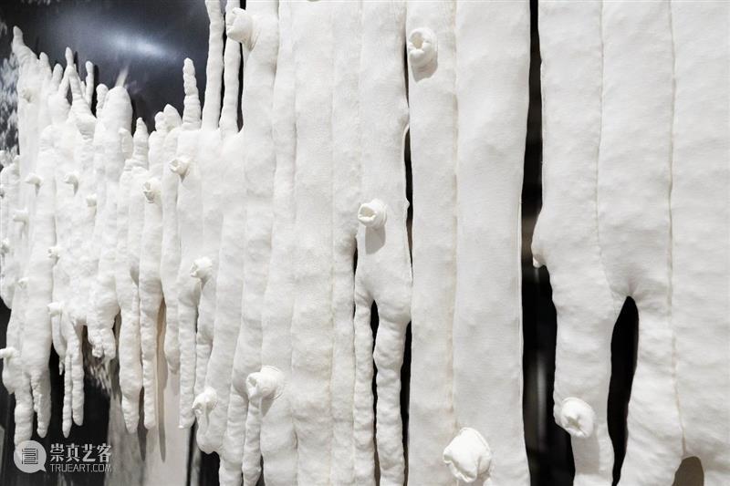 特别活动｜尹秀珍个展「无处不在」将向观众赠送作品「般若波罗蜜多」 崇真艺客