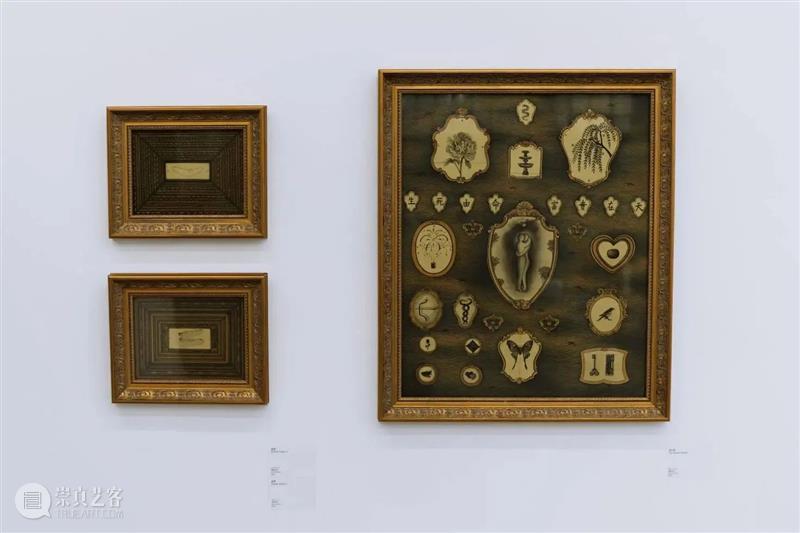 浅谈“惊梦”｜对话姜怡帆 崇真艺客