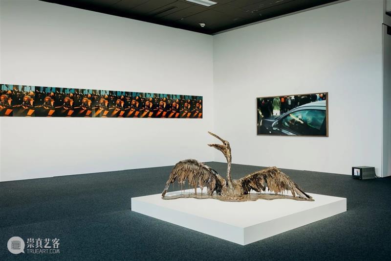 【讲座】荷兰摄影机构论：摄影项目和展览中的视觉故事 博文精选 三影堂 崇真艺客