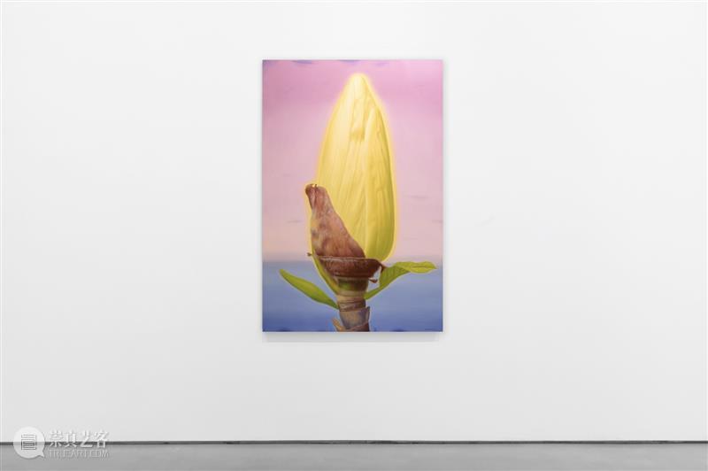 逸空间 展讯|张科学个展「春天:旁白」即将开幕 崇真艺客