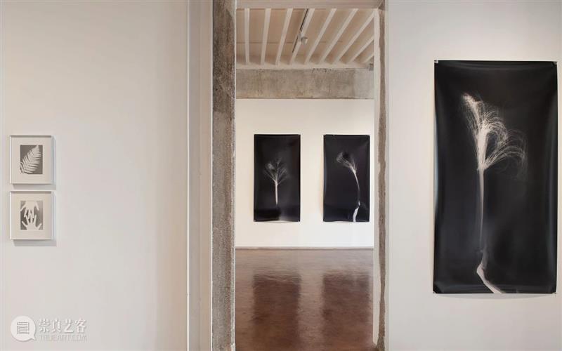 你所不知道的印度孟买：5个必看艺术展 崇真艺客