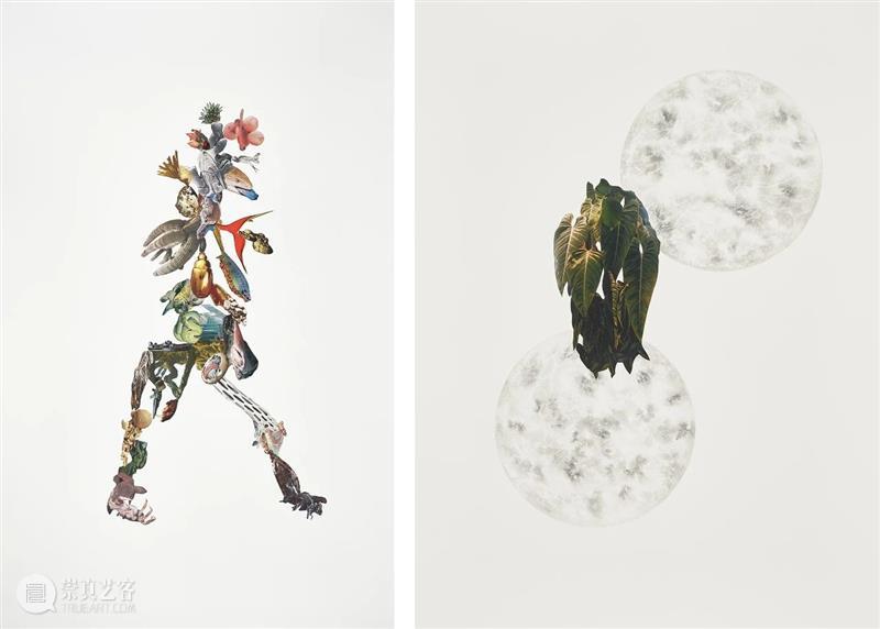 你所不知道的印度孟买：5个必看艺术展 崇真艺客