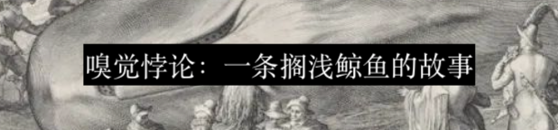 神圣多面体的忧郁:在想象与现实之间 崇真艺客