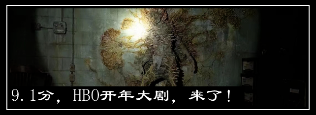 治愈系日影,又来一部佳作 崇真艺客