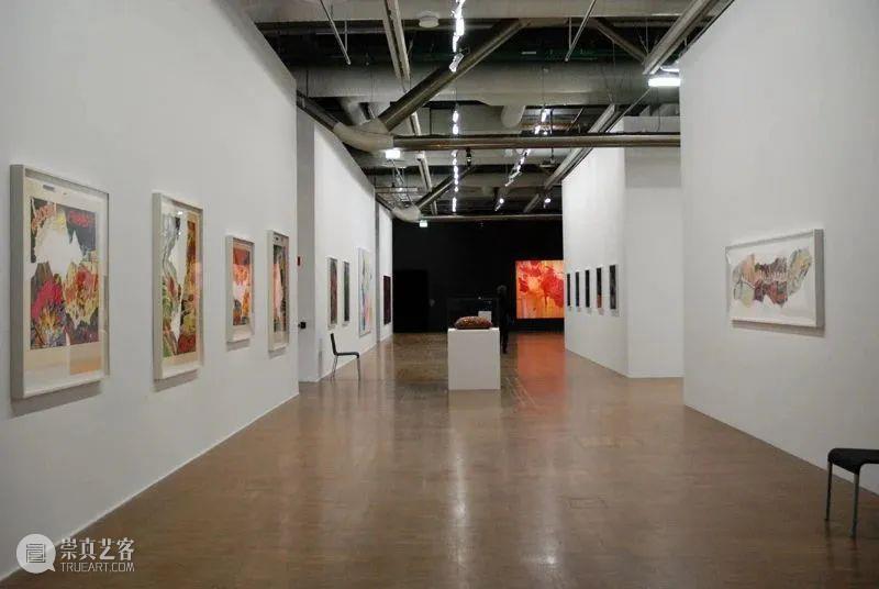 听到图像的声音吗 | 国家美术·关注 崇真艺客