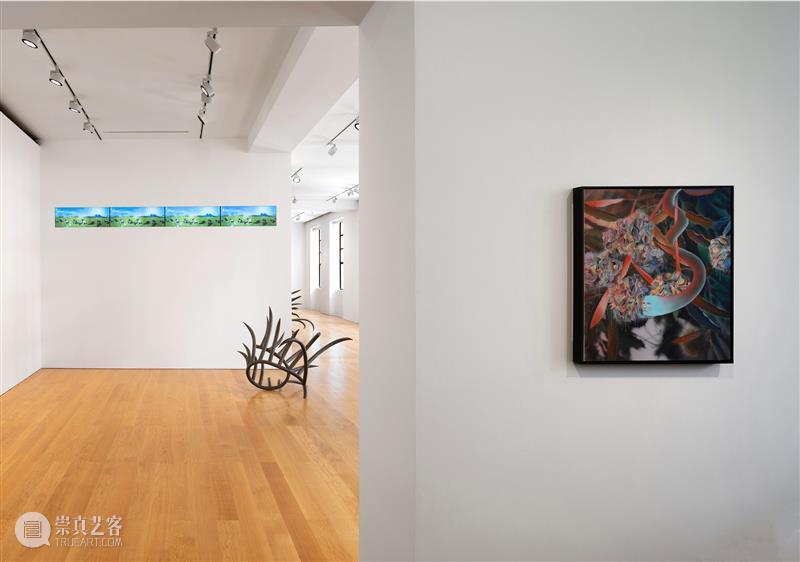 高古轩香港｜肉身：危险的魅惑｜策展人语 崇真艺客