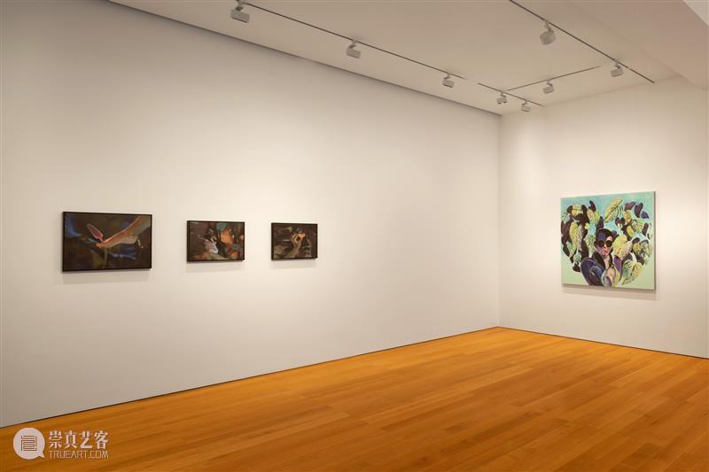 高古轩香港｜肉身：危险的魅惑｜策展人语 崇真艺客