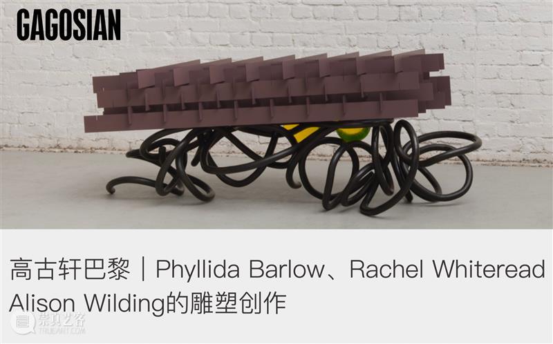 高古轩香港｜肉身：危险的魅惑｜策展人语 崇真艺客