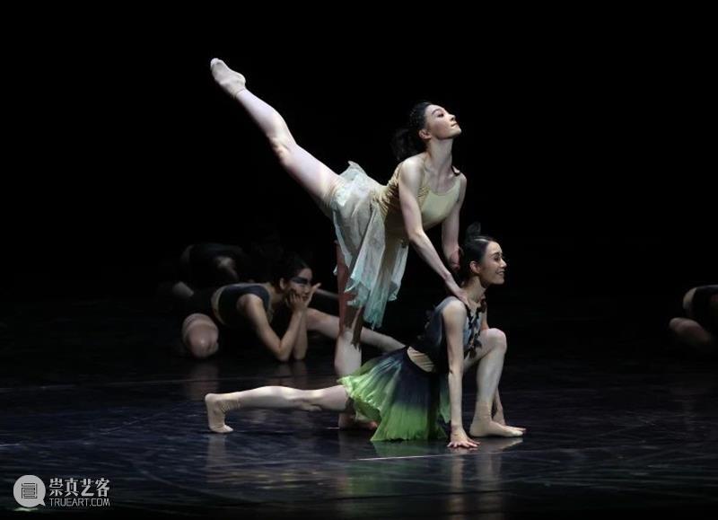 《田园》今日上演｜用舞蹈寄予希望，一同驶向春天的「田园」 崇真艺客