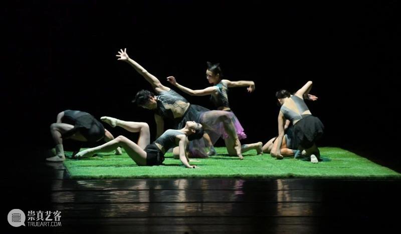 《田园》今日上演｜用舞蹈寄予希望，一同驶向春天的「田园」 崇真艺客