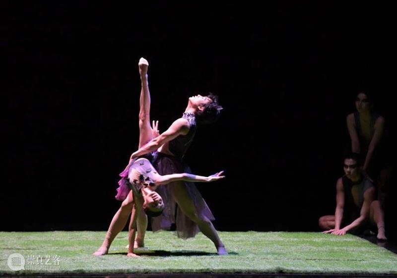 《田园》今日上演｜用舞蹈寄予希望，一同驶向春天的「田园」 崇真艺客