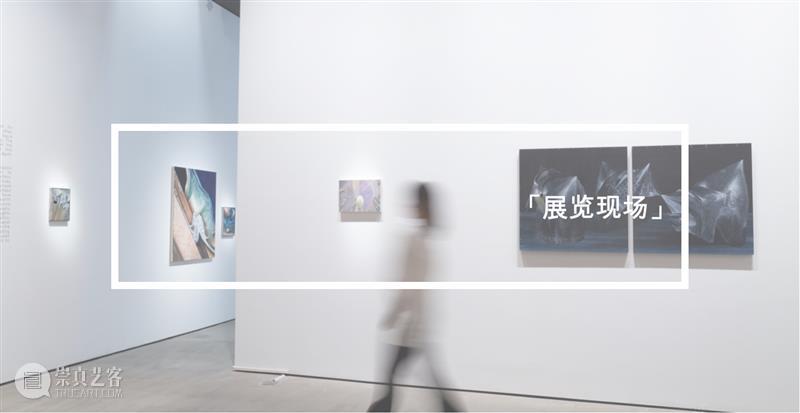 万一对话 | 陈国宝：我有点野生的感觉 崇真艺客