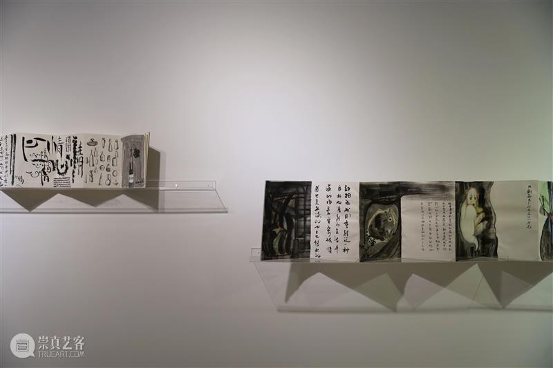 【GCA开幕现场】《有机的地形》 崇真艺客