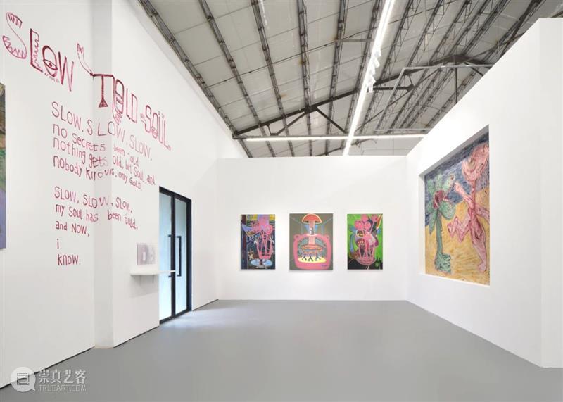 奶粉zhou上海新展:像孩子一样自在表达 崇真艺客