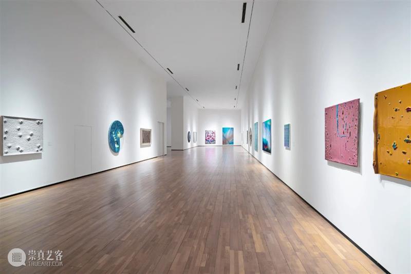 LONG展览 |“多重景观”今起在龙美术馆（重庆馆）免费对公众开放 崇真艺客