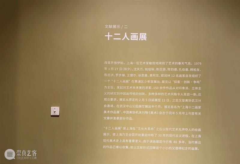 展览延伸 | "十二人画展",一颗划破夜空的星星 崇真艺客