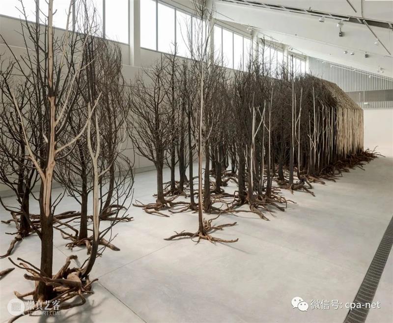 第 15 届沙迦双年展如何颠覆艺术世界的遗产 崇真艺客