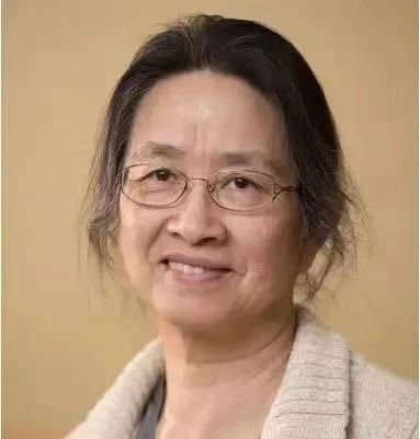 新书推荐 | 《考古学：理论、方法与实践（第八版）》出版 崇真艺客