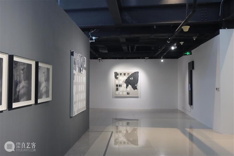 武小川：从绘画的观念到观念的绘画——吕顺2018年以来的艺术实验 崇真艺客