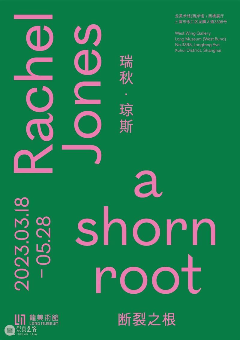 画廊新闻｜瑞秋·琼斯（Rachel Jones）中国首次个展“断裂之根”即将在龙美术馆呈现 崇真艺客