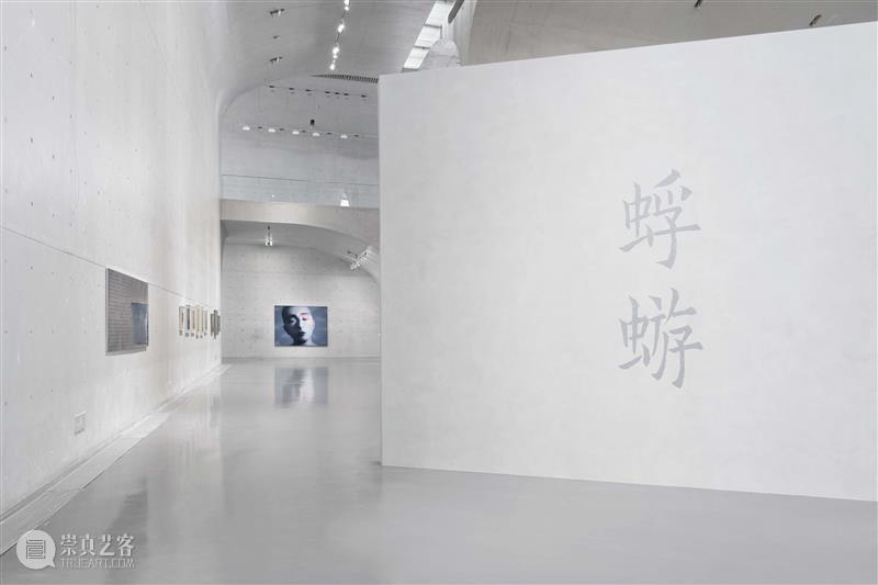 LONG重磅 | 张晓刚上海首次个展“蜉蝣”开幕，80余件作品惊喜亮相 崇真艺客