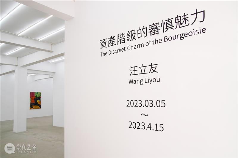 图集 | 「资产阶级的审慎魅力」汪立友个展 崇真艺客
