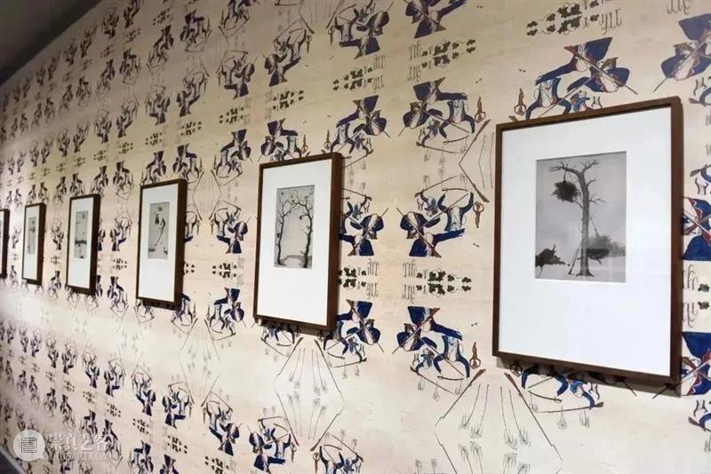 胡昀参加广州美术学院展览“榴莲·榴莲：作为方法论的区域艺术研究” 崇真艺客