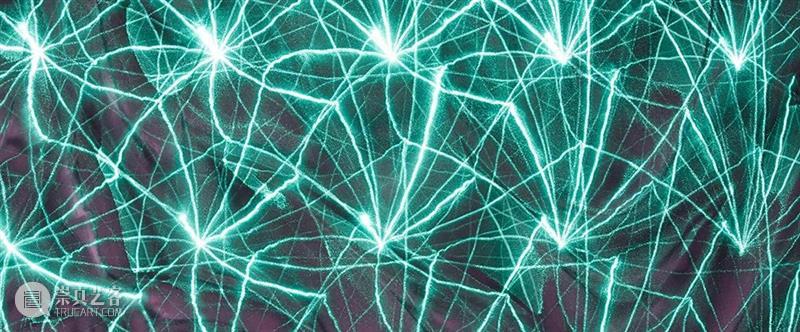 Synergies | 艺术、科学和技术交叉领域研究项目的资助计划 视频资讯 瑞士文化基金会 崇真艺客