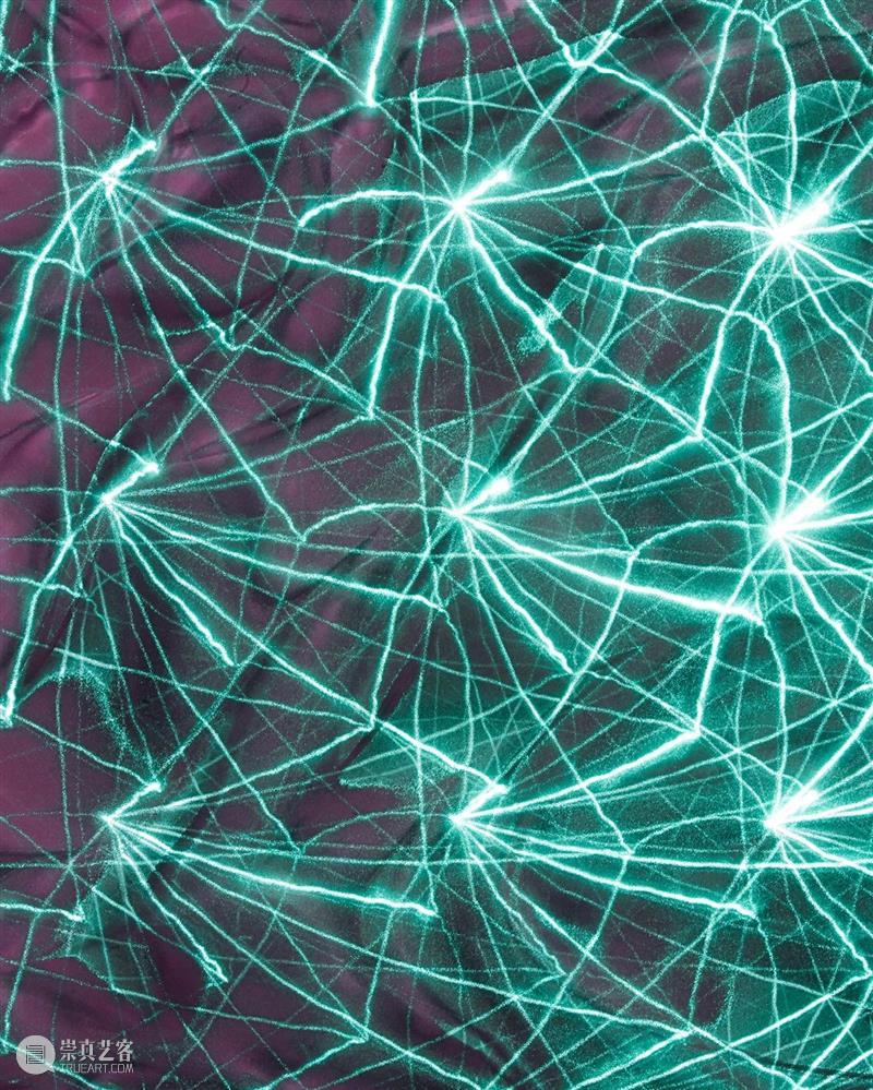 Synergies | 艺术、科学和技术交叉领域研究项目的资助计划 视频资讯 瑞士文化基金会 崇真艺客