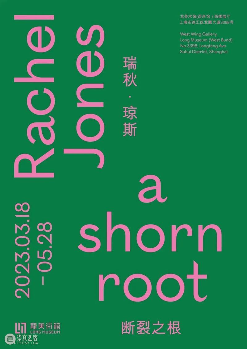 即将展出｜瑞秋·琼斯 (Rachel Jones) 中国首次个展将在龙美术馆开幕 崇真艺客
