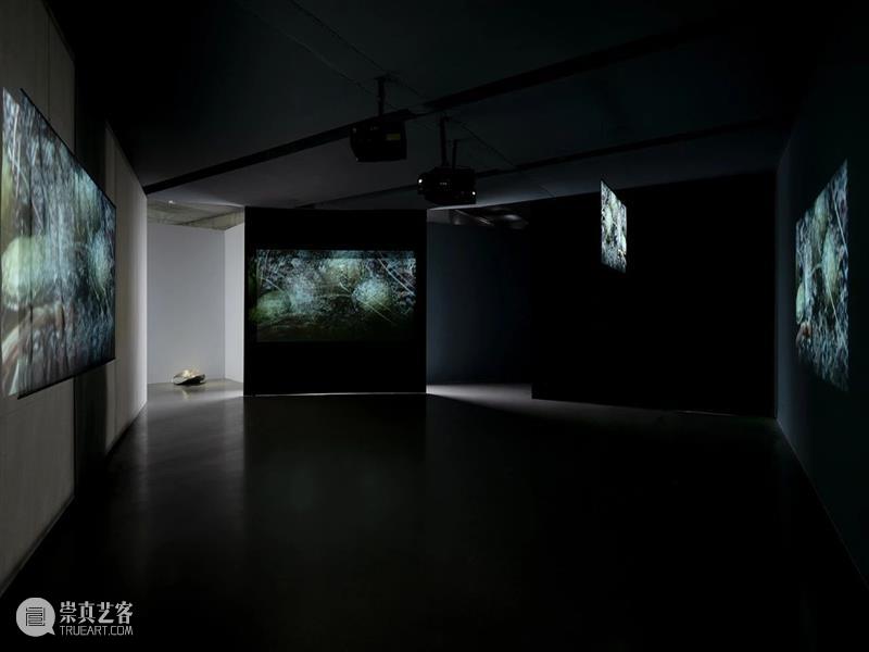 胡晓媛正在西岸美术馆的“沙 径”个展中呈现全新的影像创作《起初，我站在终点》 崇真艺客