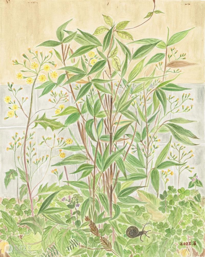 展览|爱琴:春有时A Time to Spring 崇真艺客