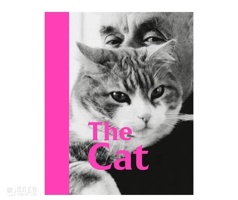 周六观影招募 |天才猫奴画家《路易斯·韦恩的激情人生》猫是生命之光呀! 崇真艺客