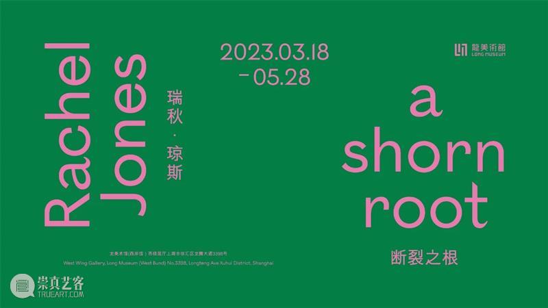 LONG重磅 | 瑞秋·琼斯中国首次个展开幕，用牙齿、嘴巴提示黑人生活经验 崇真艺客