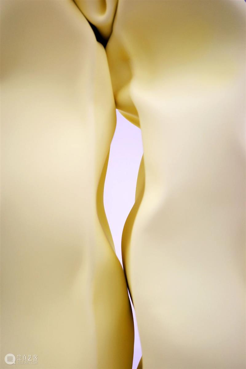 缠缠缠绕——卡罗尔·波维、胡晓媛、阿丽佳·柯维德 | 国家美术·关注 崇真艺客