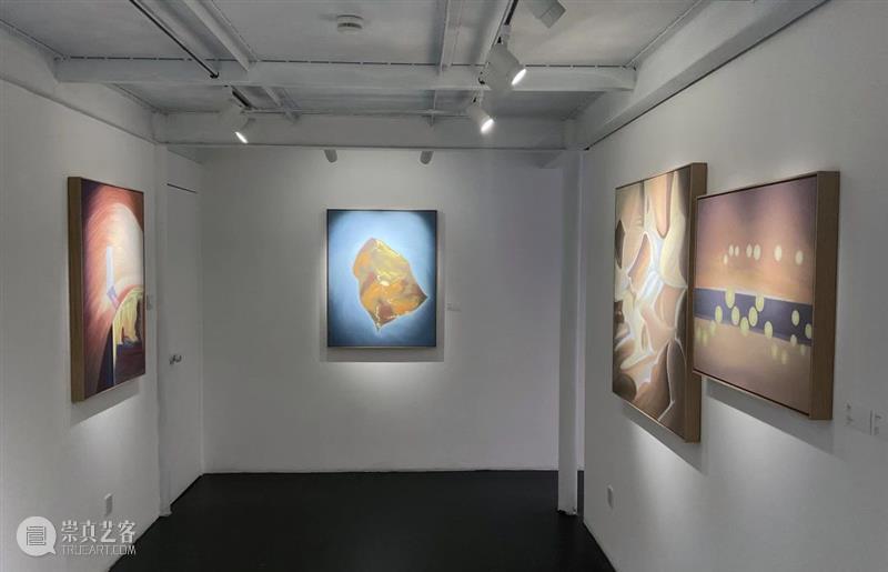 联合开幕 | 在那做梦人的梦中,被梦见的人醒了 | Bird Gallery 崇真艺客