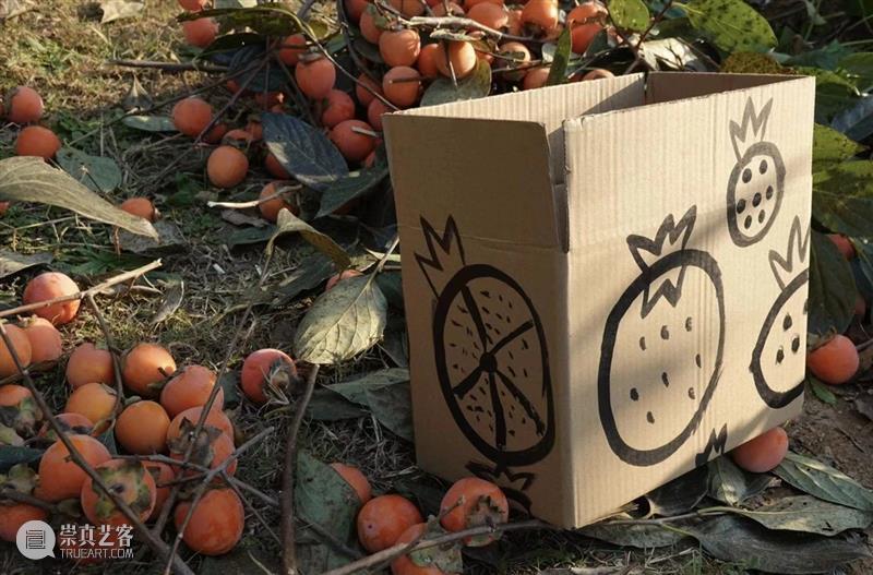 世界睡眠日｜ 回到梦开始的地方 崇真艺客