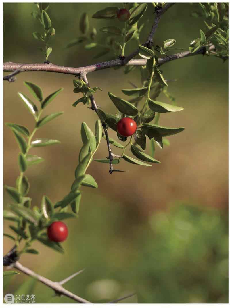 世界睡眠日｜ 回到梦开始的地方 崇真艺客