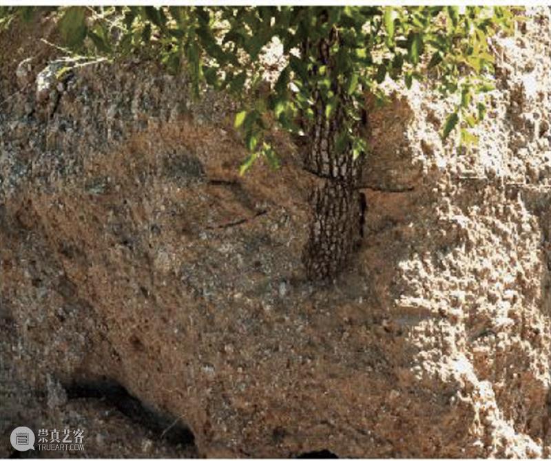 世界睡眠日｜ 回到梦开始的地方 崇真艺客