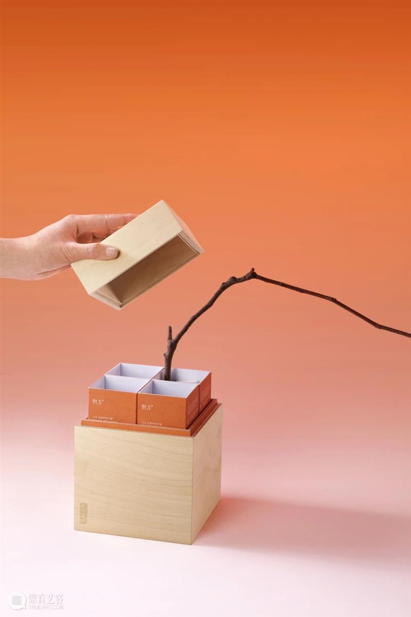 世界睡眠日｜ 回到梦开始的地方 崇真艺客