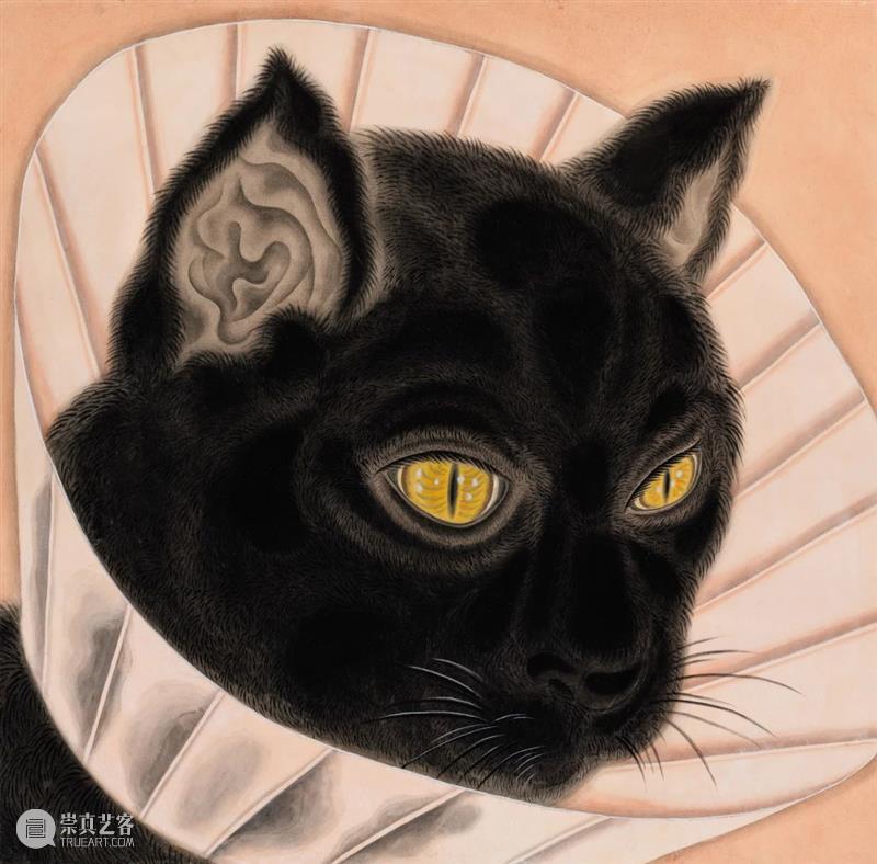 2023 Art Basel HK｜Artist｜Tseng Chien-Ying 崇真艺客