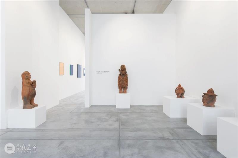 同行/与万物之灵的神秘交谈 | Seyni Awa Camara 视频资讯 同行 崇真艺客