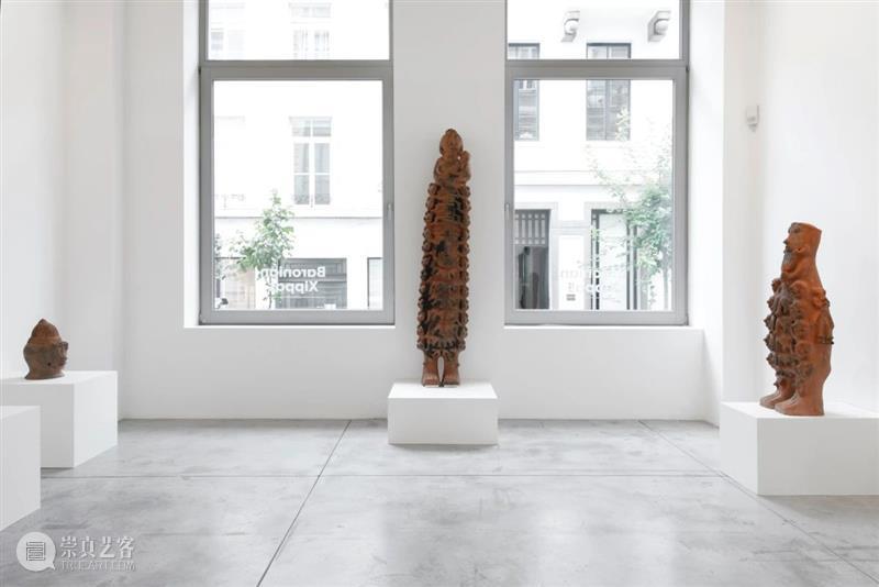 同行/与万物之灵的神秘交谈 | Seyni Awa Camara 视频资讯 同行 崇真艺客