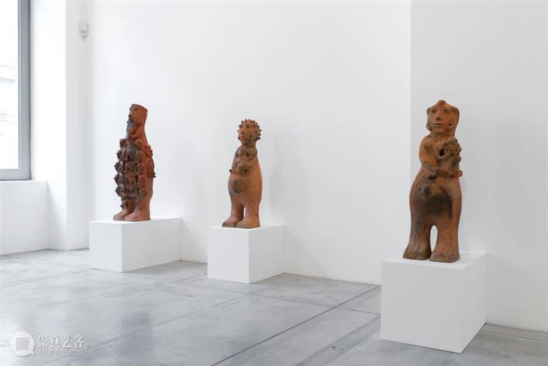 同行/与万物之灵的神秘交谈 | Seyni Awa Camara 视频资讯 同行 崇真艺客