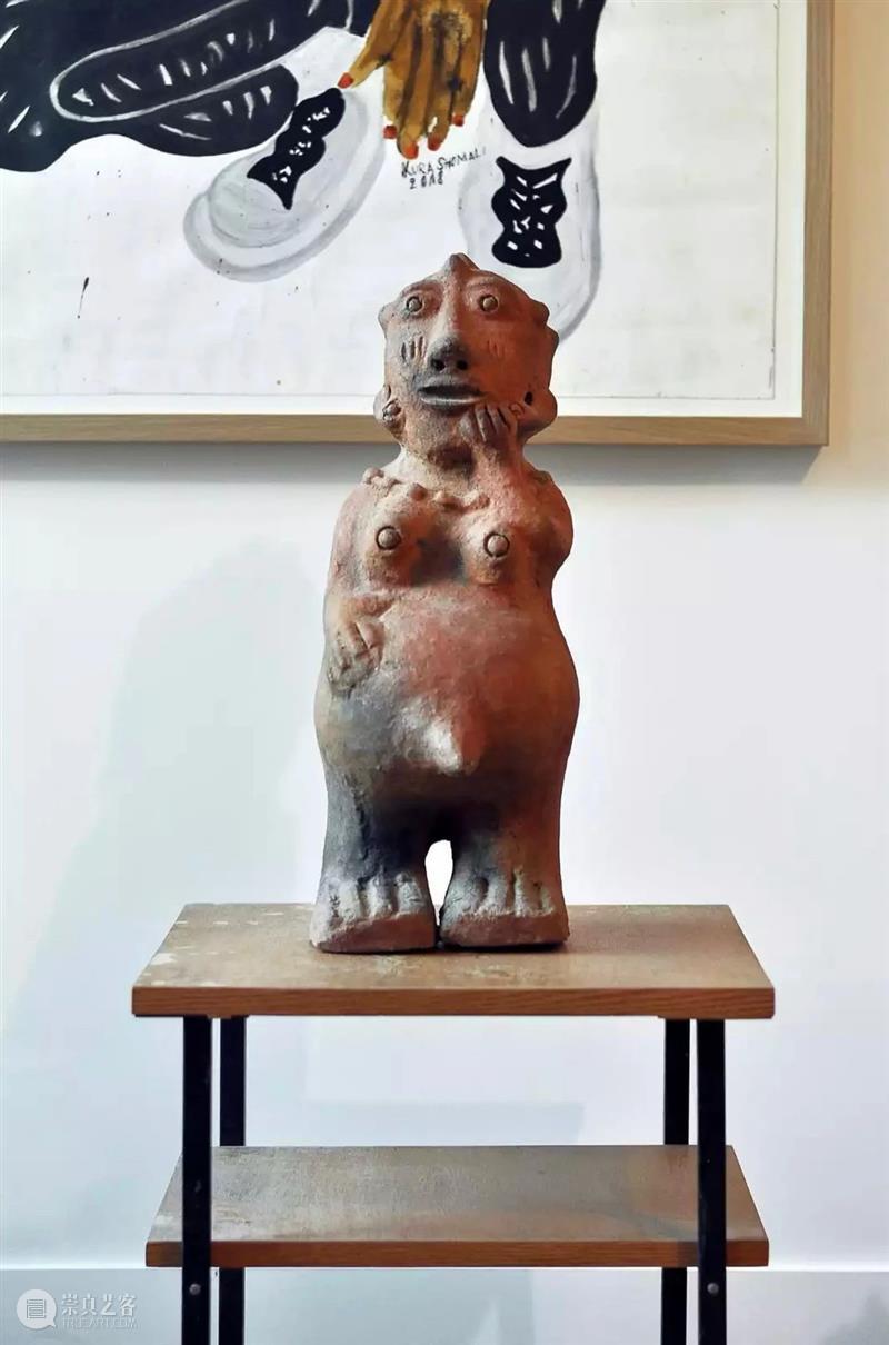 同行/与万物之灵的神秘交谈 | Seyni Awa Camara 视频资讯 同行 崇真艺客