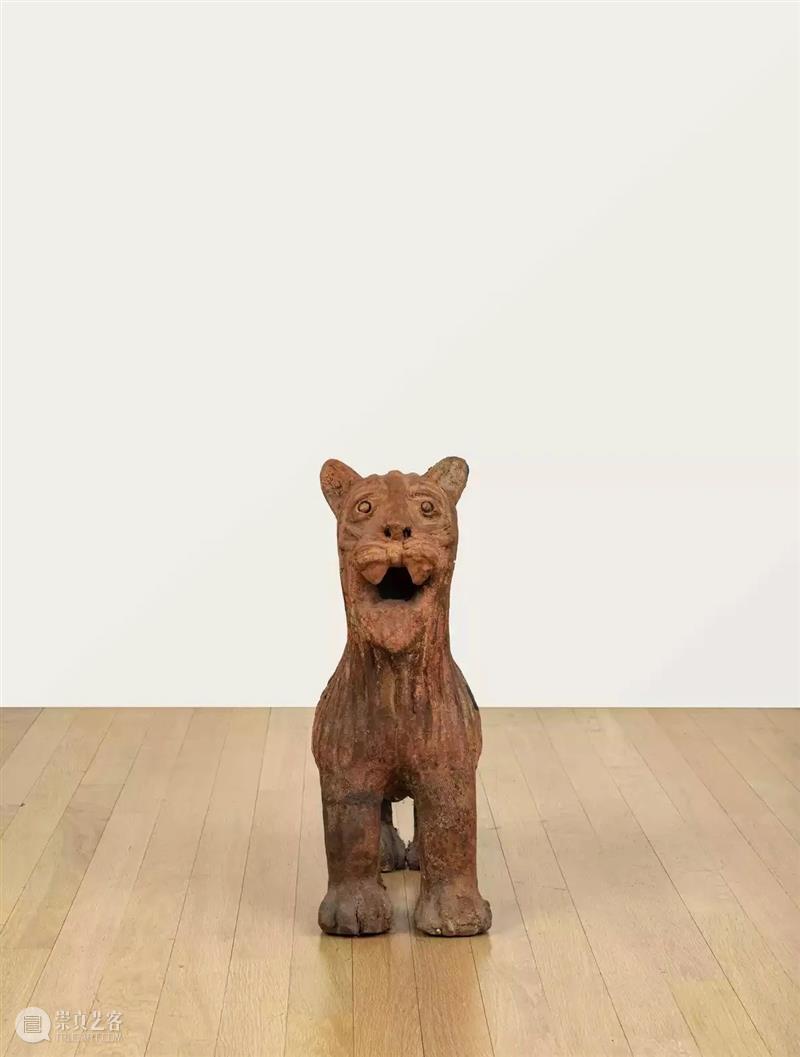 同行/与万物之灵的神秘交谈 | Seyni Awa Camara 视频资讯 同行 崇真艺客